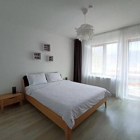Zander Home Apartment Busteni Ngoại thất bức ảnh