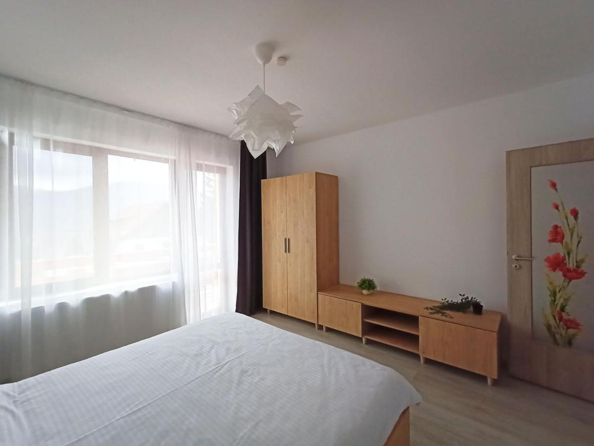 Zander Home Apartment Busteni Ngoại thất bức ảnh